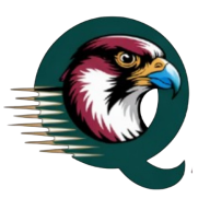 Qwick Money 